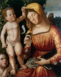 Krawcowa Madonna