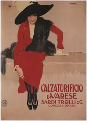 Buty Sardi Trolli, 1897