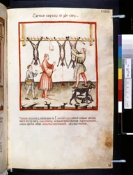 Theatrum sanitatis Ububchasyma de Baldach: "Carnes Caprarum et Pulpe Edorum", pierwsza dekada XIV wieku (miniatura)