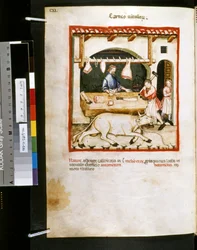Theatrum sanitatis Ububchasyma de Baldach: "Carnes Vitulorum", pierwsza dekada XIV wieku (miniatura)
