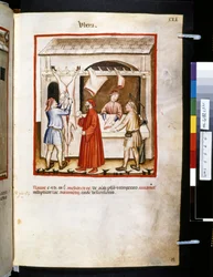 Theatrum sanitatis Ububchasyma de Baldach: "Ubera", pierwsza dekada XIV wieku (miniatura)
