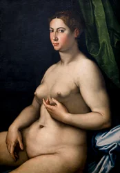 Portret kobiety. XVI wiek (olej na płótnie)