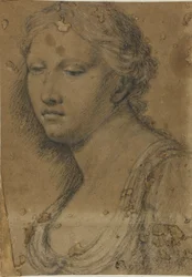 Popiersie kobiety