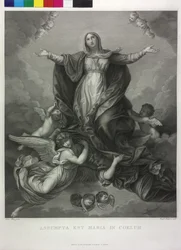 Wniebowzięcie Najświętszej Maryi Panny