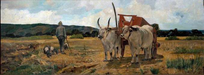 Pejzaż w Maremmie (olej na płótnie)