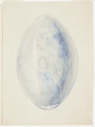 Przegląd kamieni Oval Shell Stone