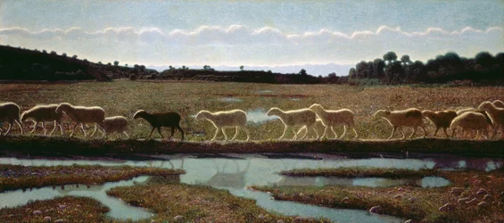 Zwierciadło życia: to, co robi pierwszy, podążają inni, 1895-98