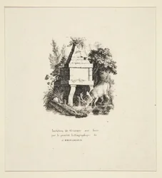 Picie kawalerów