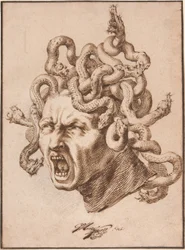 Głowa Meduzy