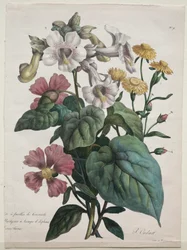 Kurs Historii Naturalnej, zawierający główne gatunki królestwa zwierząt..., 1825.