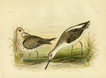 Żmigród wielki, 1891