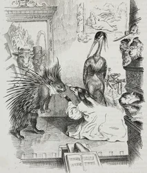 Pies i jeżozwierz, karykatura Jean-Jacques Grandville (1803-1847), litografia Giovanniego Mariani z Polioramy Pittoresco, nr 38, 30 kwietnia