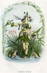 Ilustracja dla "Les Fleurs Animees