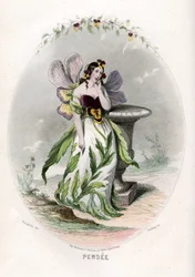 Ilustracja dla "Les Fleurs Animees