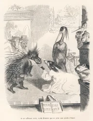 Opera z jeżozwierzem, psem i czaplą na scenie. Winiety ilustrowane przez JJ Granville. Grawer sygnował Godard w części zatytułowanej „Pierwszy pistolet seryjny” autorstwa Julesa Janina w „Scenach z życia prywatnego i publicznego zwierząt”.