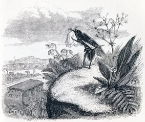 Erkė ir musė – „La Fontainepoli“ pasakos