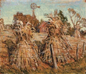 Pole kukurydzy