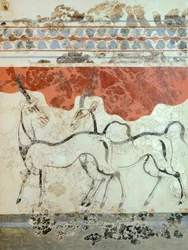 Antylopy, fresk z Akrotiri, Thera, dzisiejsze Santorini, Grecja, cywilizacja minojska