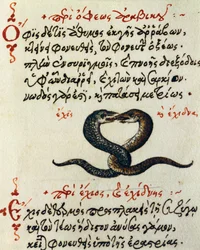 Sprzęg wężowy, test i miniatura z De animalium natura et proprietate libellus, autorstwa Aelianus (II-III w. n.e.)