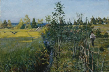 Letni Dzień