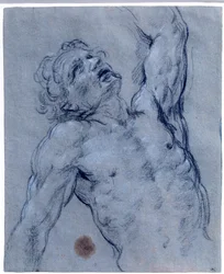 Półpostać nagiego mężczyzny, odwraca się, udając cierpienie Rysunek z czarnego kamienia autorstwa Guido Reni pt. Przewodnik (1573-1642). Słońce 0,26x0,21 m Paryż, musee du Louvre