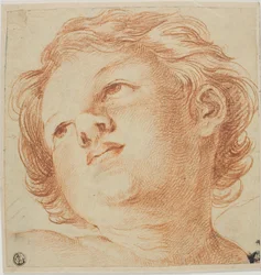 Szef Putto