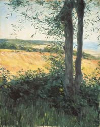 Nad morzem, Normandia, 1884