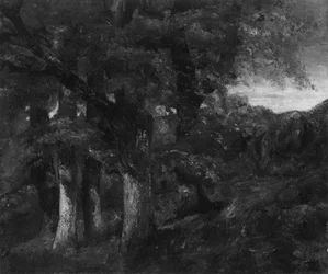Zalesiony krajobraz, 181977.