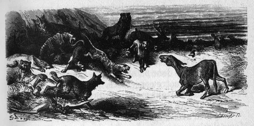Zwierzęta chore na zarazę. Bajki Jean de La Fontaine (1621-95). Ilustracja autorstwa Gustave