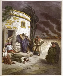 Hiob dowiaduje się o swojej ruinie - Hiob uczył się sa ruine - - Grawerowanie w „The Bible illustree” Gustave