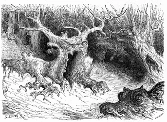 Monstrualny buk w dolinie Ossau, antropomorficzne drzewa-potwory. Rycina Gustave