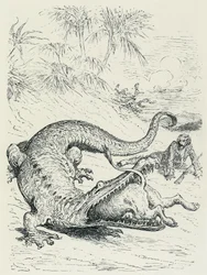 "Przygody barona Munchausena" (Munchhausen): Nieustraszony baron Munchausen ścigany przez lwa przecina ścieżkę ogromnego krokodyla, który pożre lwa. Ilustracja Gustave