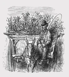 „Wędrowna kwiaciarka”, 1872.