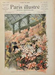 Wystawa azalii w szklarniach miasta Paryża (Serres d