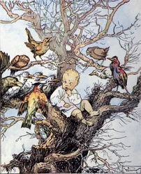 Ilustracja do „La storia di Peter Pan””, bajka Jamesa Matthew Barrie (JM lub J.M. Barrie