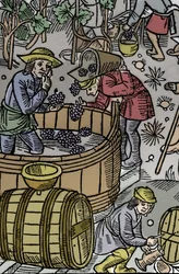Zbiory - winobranie - Kalendarz pasterza - Praca miesiąca - Październik - Drzeworyt z książki z 1496 r. wydrukowanej przez Guya Marchanta (Guido Mercator) w Troyes - Drzeworyt w „Le grand Calendrier et compost des shepherds”” - Zbiory - a to
