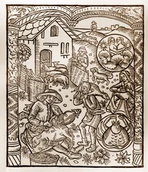 Kalendarz pasterza - Praca miesiąca - Czerwiec - Drzeworyt z książki z 1496 r. wydrukowanej przez Guya Marchanta (Guido Mercator) w Troyes - Drzeworyt w "Le grand Calendrier et compost des shepherds" -