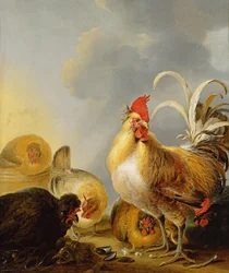 Grupa ptactwa gospodarskiego, 1643