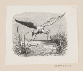 Ilustracja do „Bocianów” w H.C. Andersen, „Baśnie i historie”, tom 1