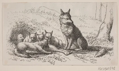 Ilustracja do: „Pan Mikkel”