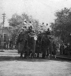 Księżniczka pendżabska jadąca na słoniu w procesji, Delhi, Indie, 1900.