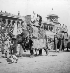 Procesja słoni przechodząca przez Jumma Masjid, Delhi, Indie, 1900.
