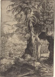 Brama w Skałach