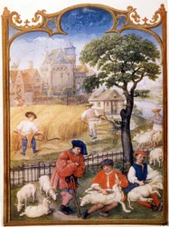 Prace polowe, strzyżenie owiec, a chłopi kosią pszenicę. Miniatura przypisana do Memlinga. Talerz zaczerpnięty z Breviaire Grimani z XV wieku. Biblioteca Marciana, Wenecja.