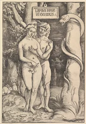 Adam i Ewa, 1511.