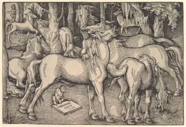 Grupa Siedmiu Koni, 1534.