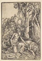 Św. Hieronim na pustyni, 1511.