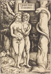 Adam i Ewa, 1511