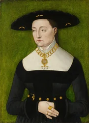 Katarzyny Merian.