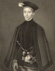 Portret Henry